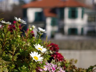 �u���t18�Ԋ�