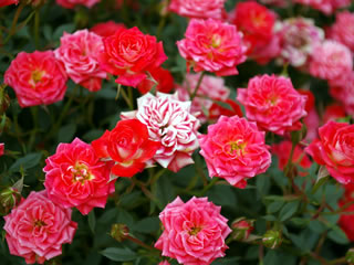 �����o����