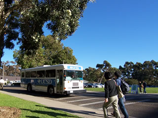 �T���f�B�G�S