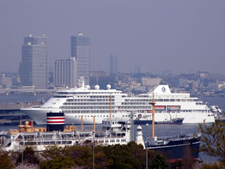 �V���o�[�E�B�X�p�[