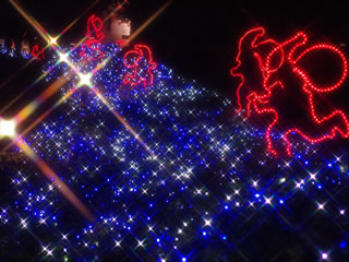 �ԍ�v�����X