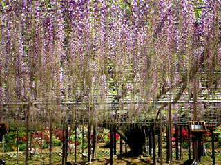 �����t�����[�p�[�N