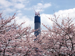 ������ב��