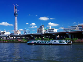 ���c�삩��