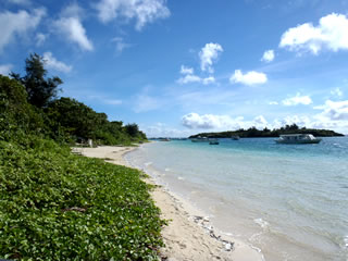 �Ί_��(�약�p)